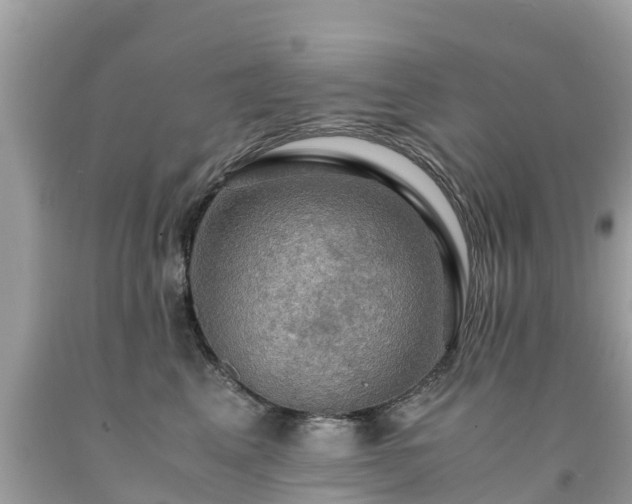 X0000092000617200709131515