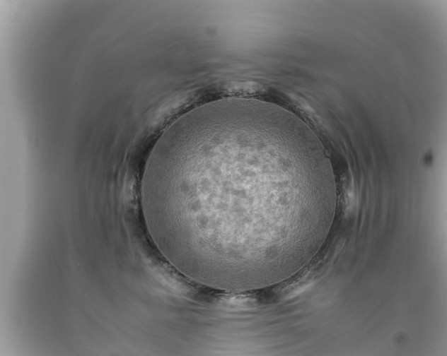 X0000092000619200709131515