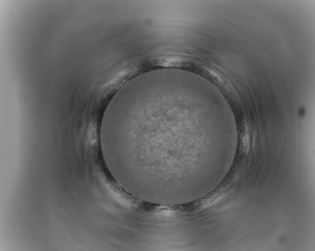 X0000092000620200709131515