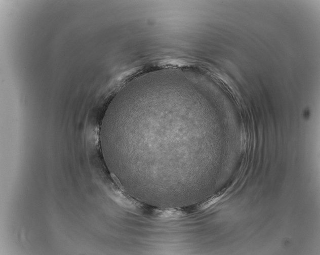 X0000092000621200709131515