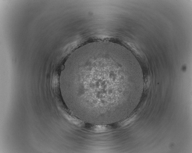 X0000092000623200709131515