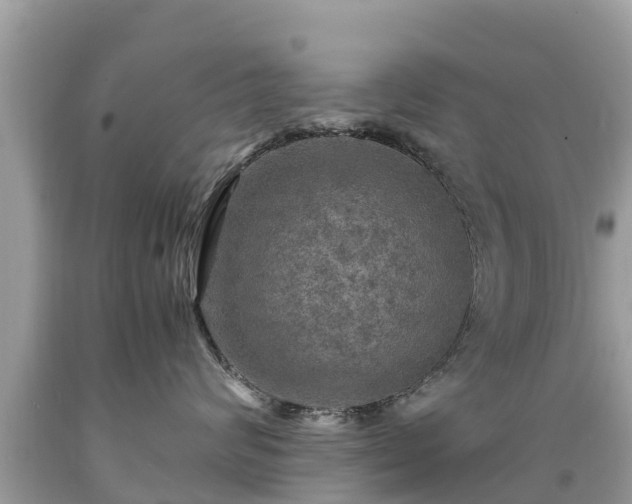 X0000092000624200709131515