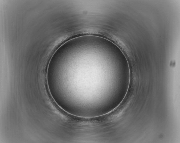 X0000092000625200709131515