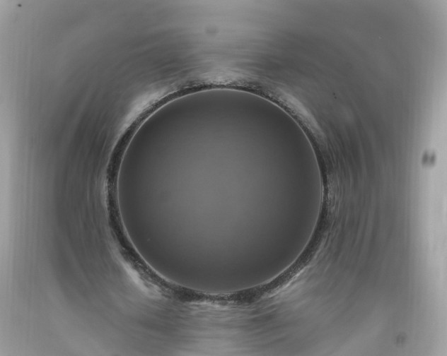 X0000092000626200709131515