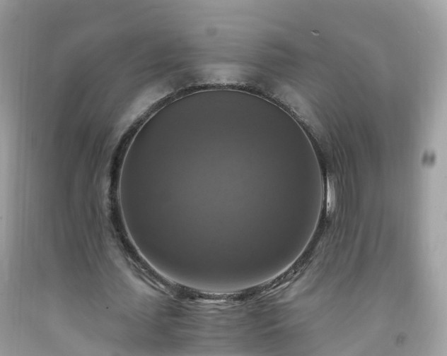 X0000092000627200709131515