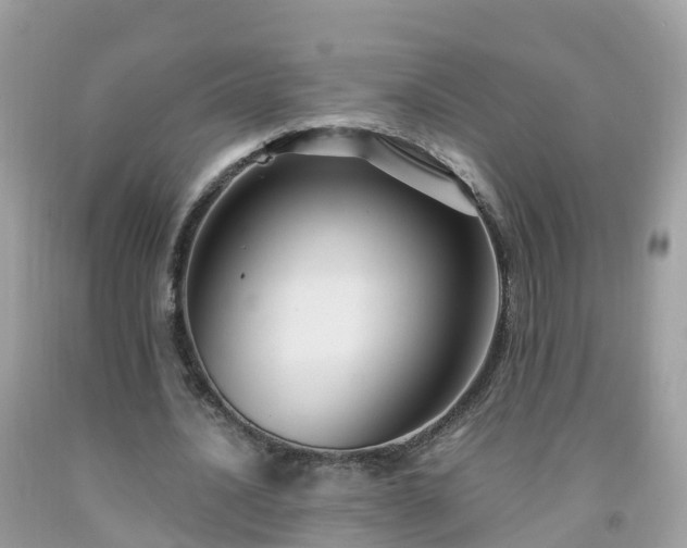 X0000092000628200709131515