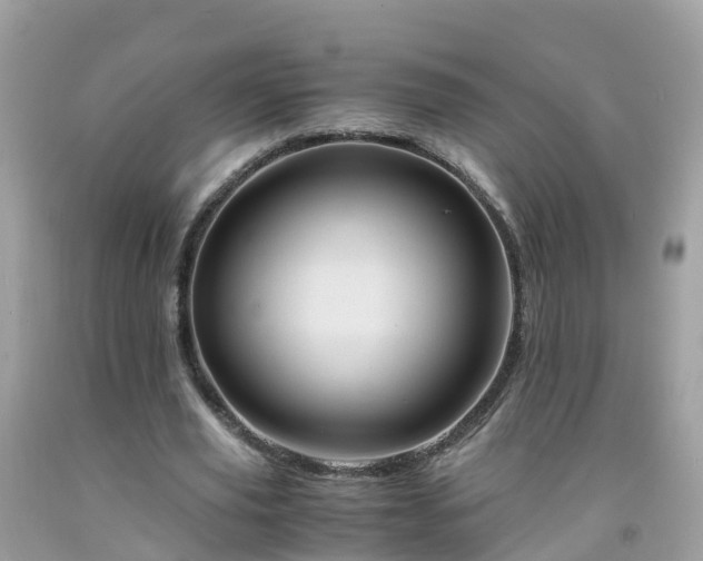 X0000092000629200709131515