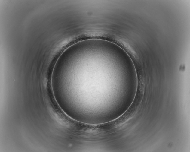 X0000092000631200709131515