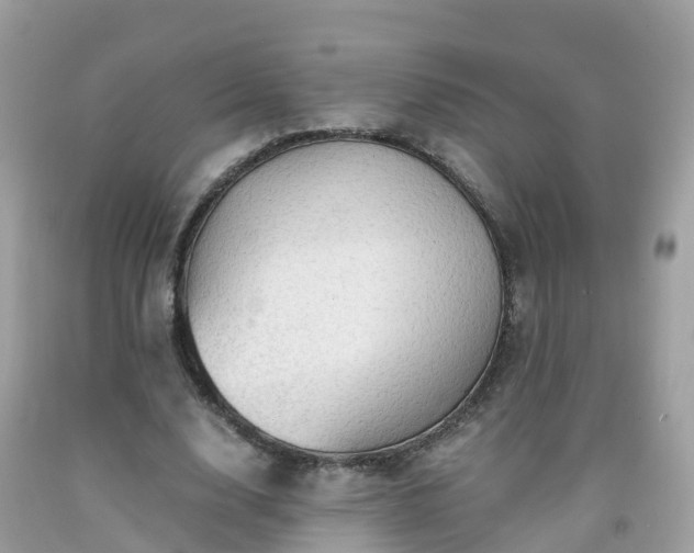 X0000092000632200709131515