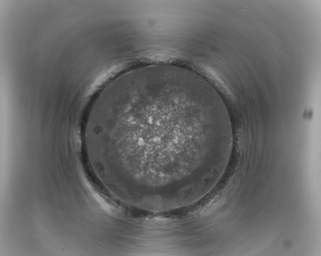 X0000092000634200709131515