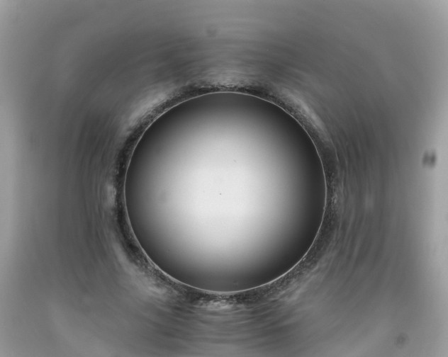 X0000092000635200709131515