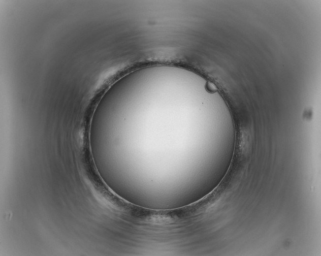 X0000092000636200709131515