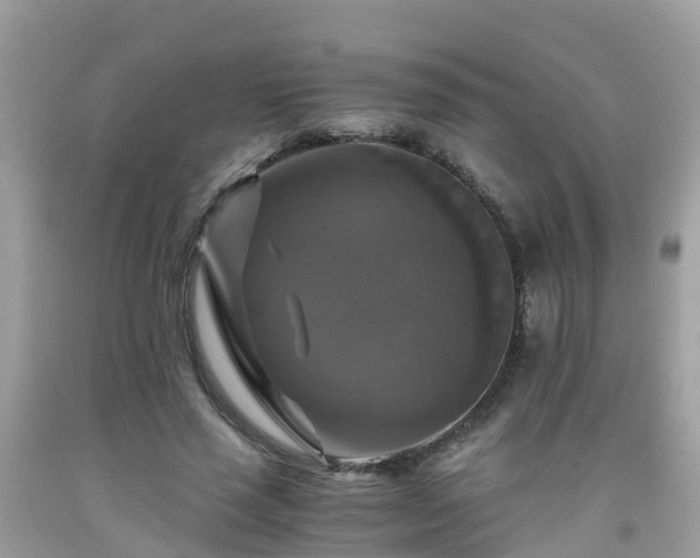 X0000092000637200709131515