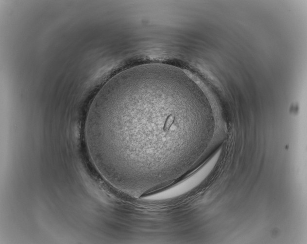 X0000092000639200709131515