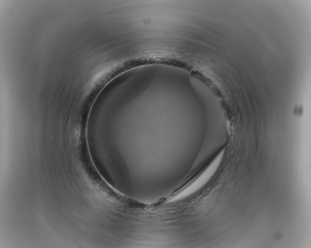 X0000092000640200709131515