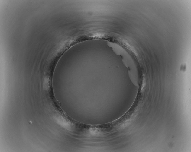 X0000092000641200709131515