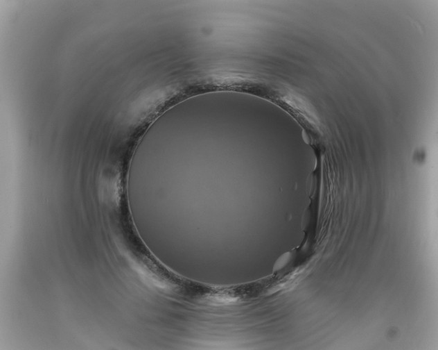 X0000092000644200709131515