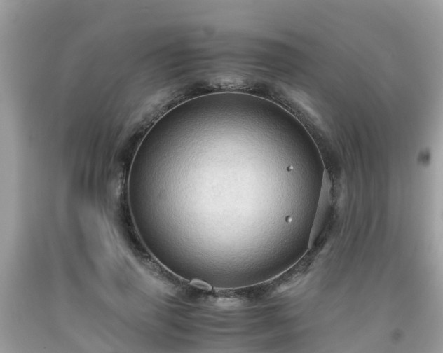 X0000092000645200709131515