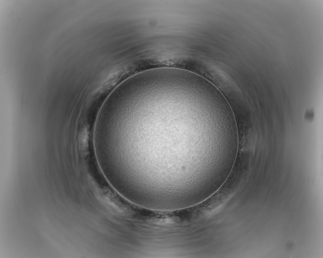 X0000092000646200709131515