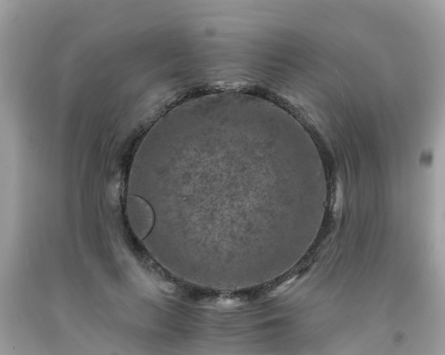 X0000092000647200709131515