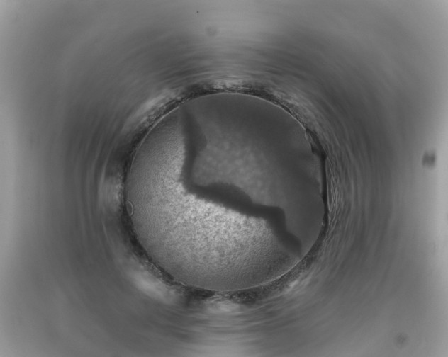 X0000092000648200709131515