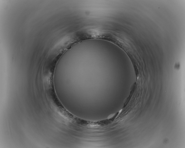 X0000092000650200709131515