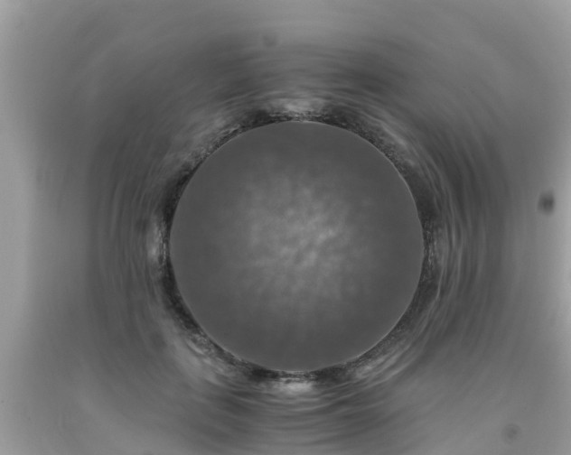 X0000092000651200709131515