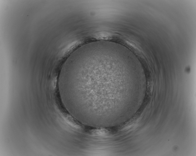 X0000092000652200709131515