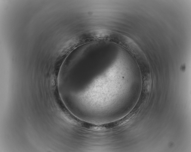 X0000092000654200709131515