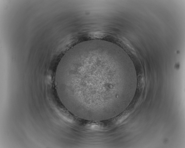 X0000092000655200709131515