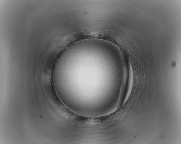 X0000092000656200709131515