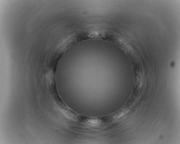 X0000092000659200709131515