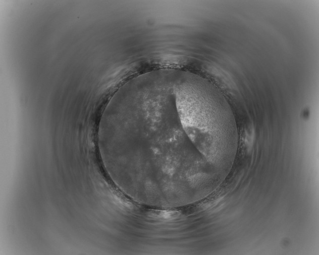 X0000092000663200709131515