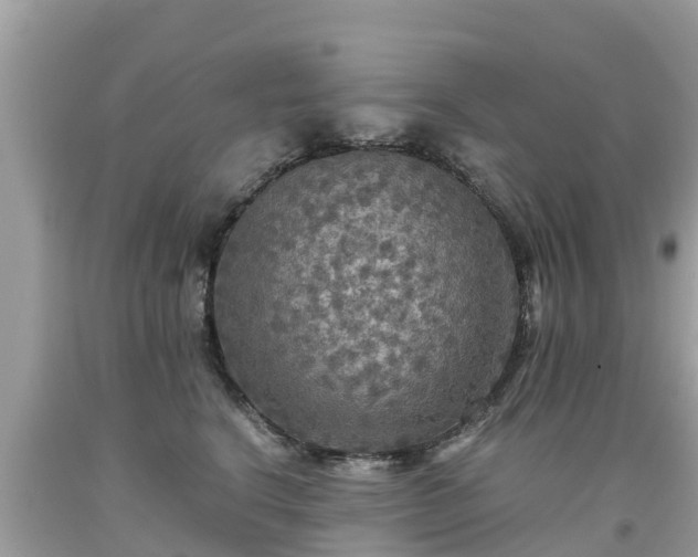 X0000092000664200709131515