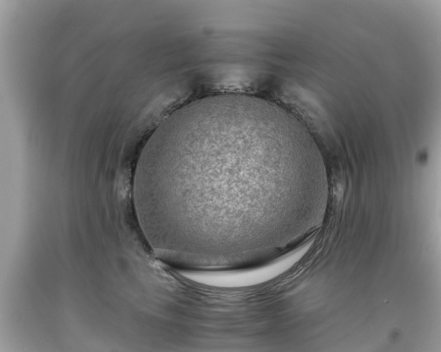 X0000092000665200709131515