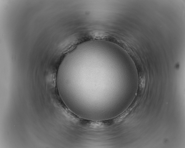 X0000092000666200709131515