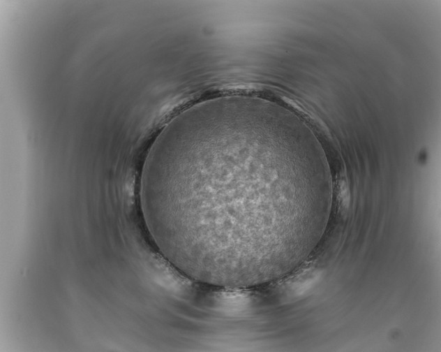 X0000092000668200709131515