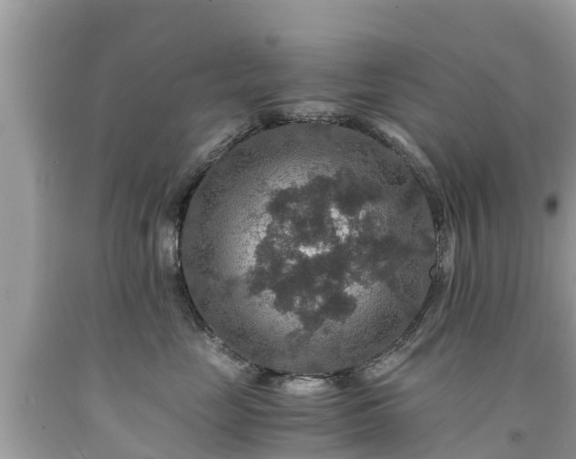 X0000092000669200709131515