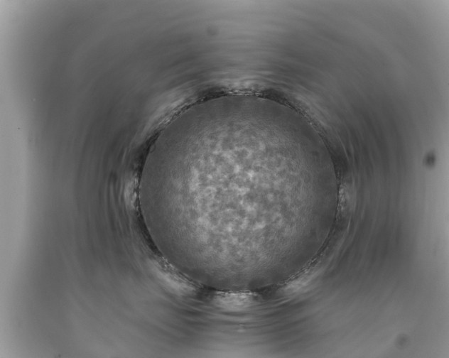 X0000092000671200709131515