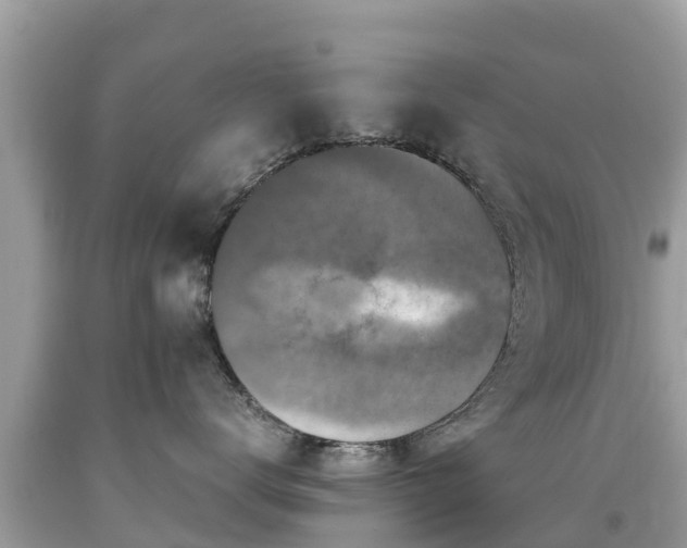 X0000092000672200709131515