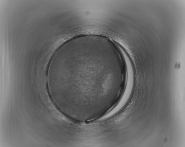 X0000092000673200709131515