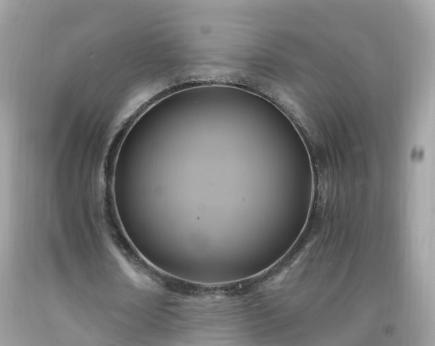 X0000092000674200709131515