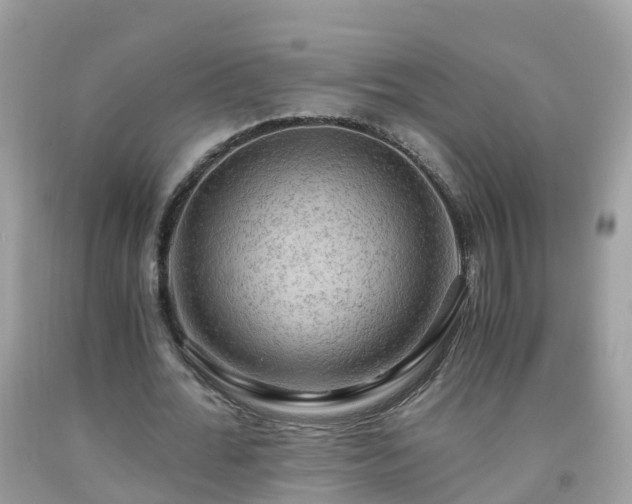 X0000092000676200709131515