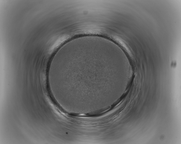 X0000092000677200709131515