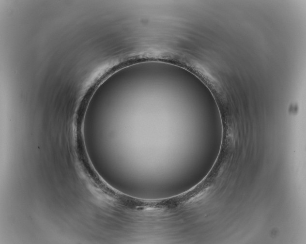 X0000092000678200709131515