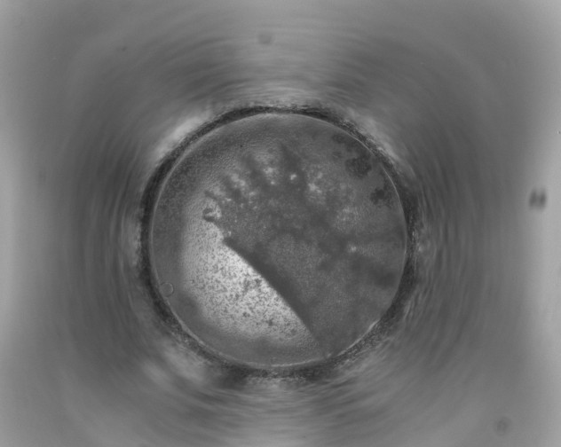 X0000092000679200709131515