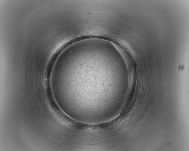 X0000092000680200709131515