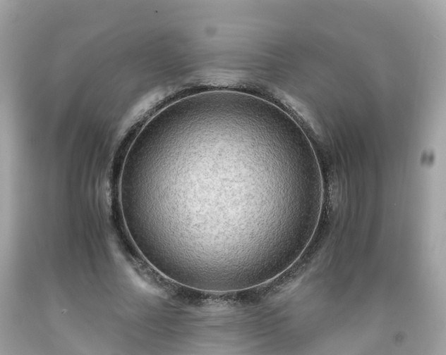 X0000092000682200709131515