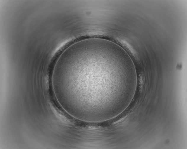 X0000092000684200709131515