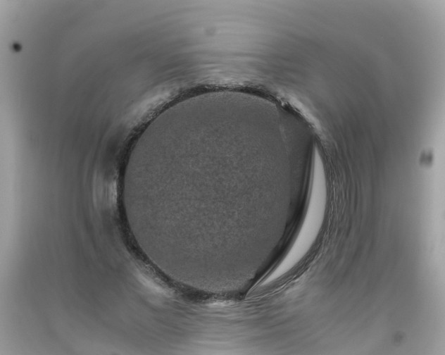 X0000092000685200709131515